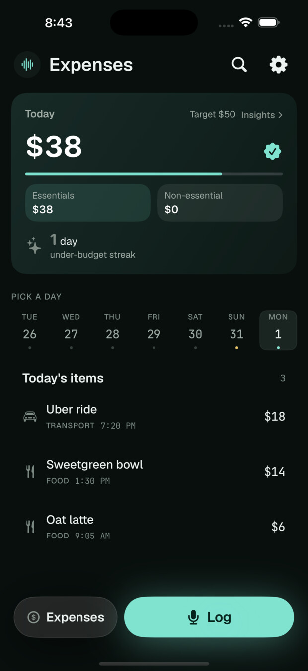 VoiceLog expenses screen showing categorized spending logged by voice